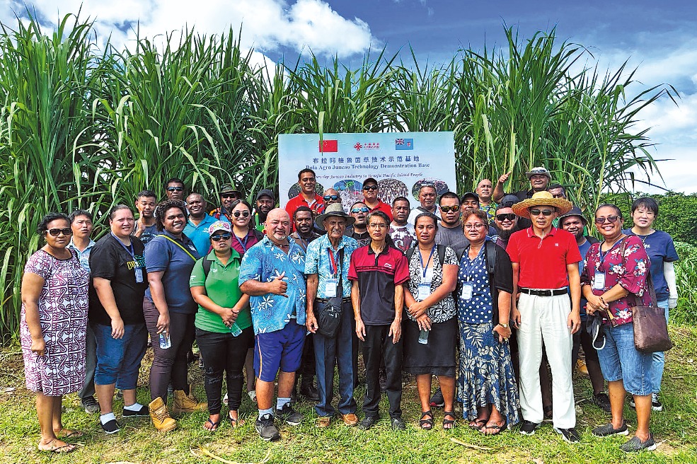 Roots that cross the Pacific