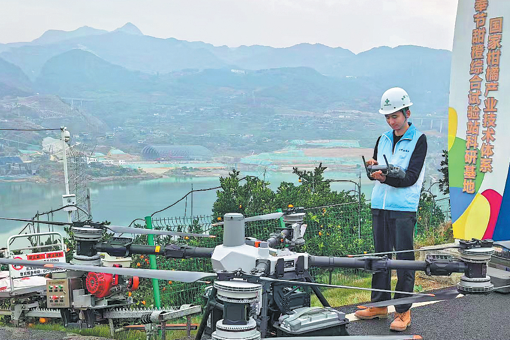 Tech enables SW China's orange markets to blossom