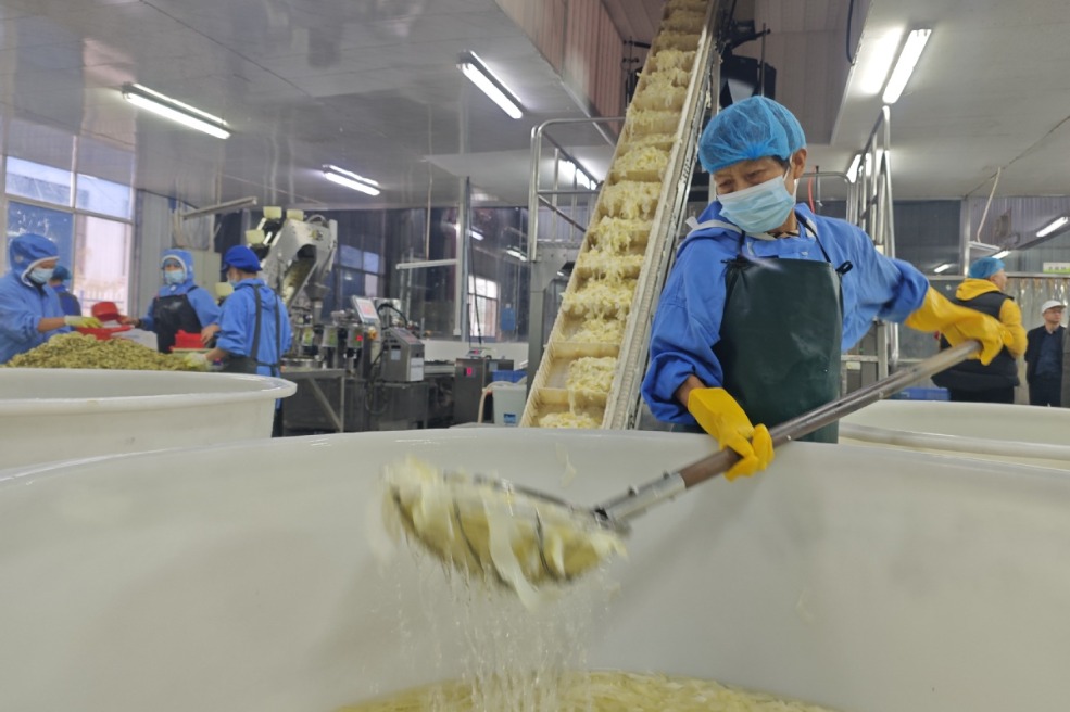 China's forestry and grassland sector hits nearly 11 trillion yuan in 2025