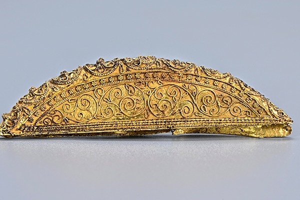 Scientific archaeology sharpens the lens on China's past