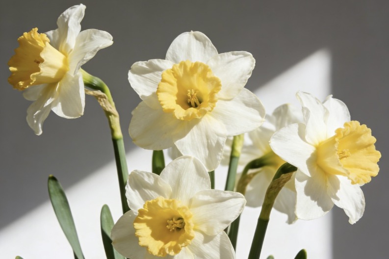 Qinggong: From sacrificial rituals to Chinese aesthetics