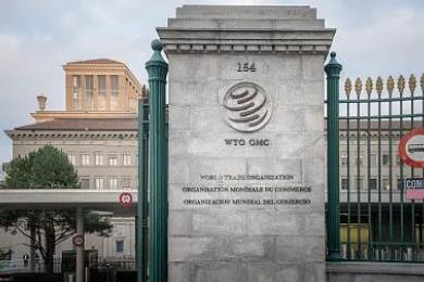 China welcomes WTO panel ruling in case against US clean energy subsidies: spokesperson