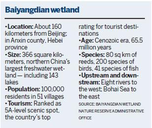 Project to aid ecology of wetland