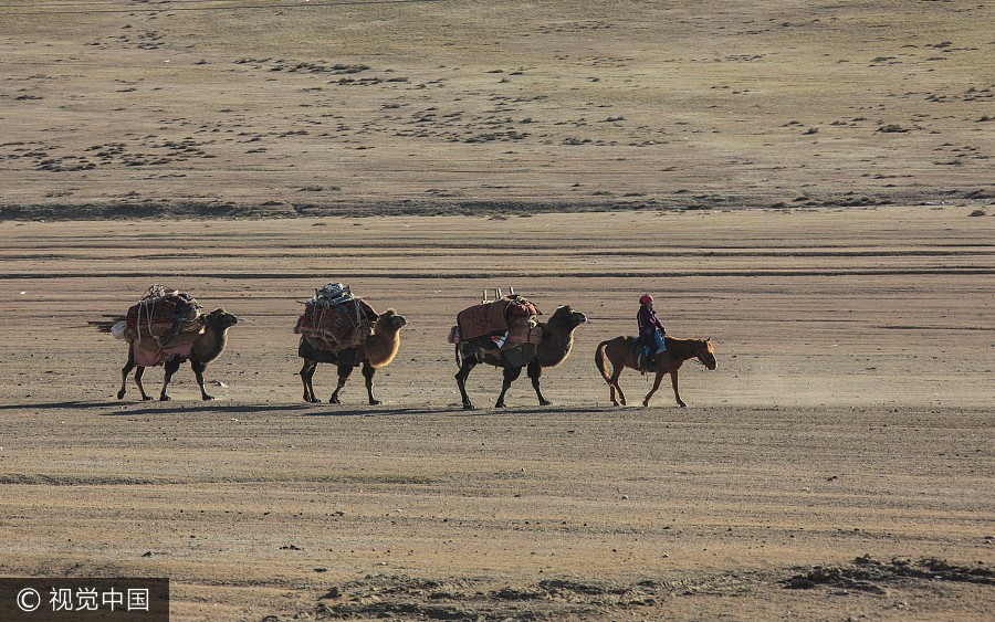 On the move: Kazak herdsmen head to winter pastures