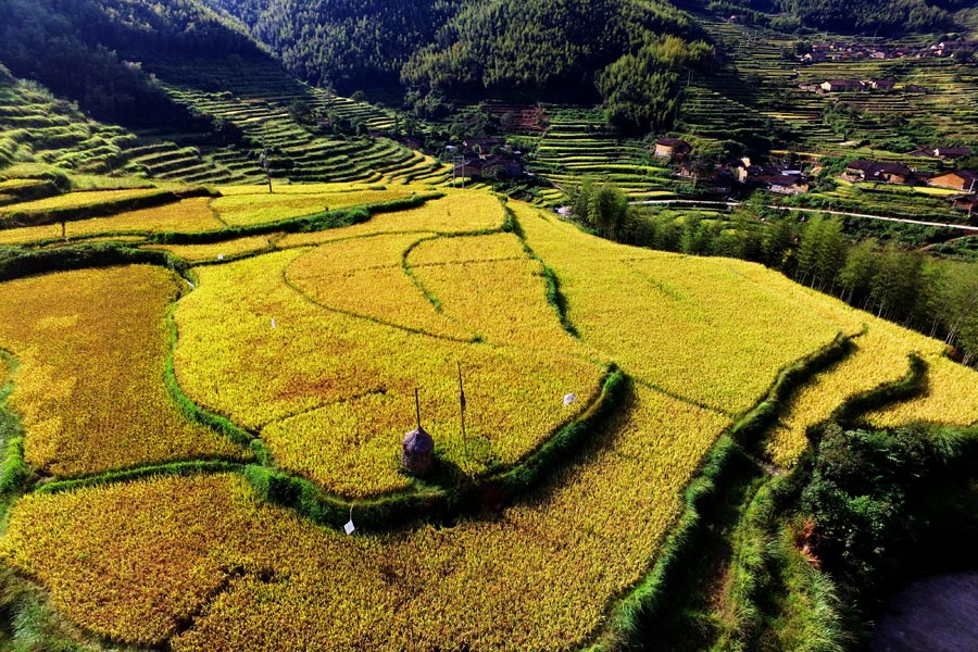 Aerial View Of Beautiful Terraces In E China - Chinadaily.com.cn