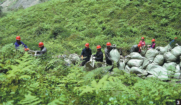 Plant Kingdom In A Sinkhole - Chinadaily.com.cn