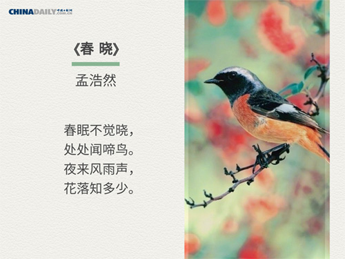 Five Ancient Chinese Poems About Spring