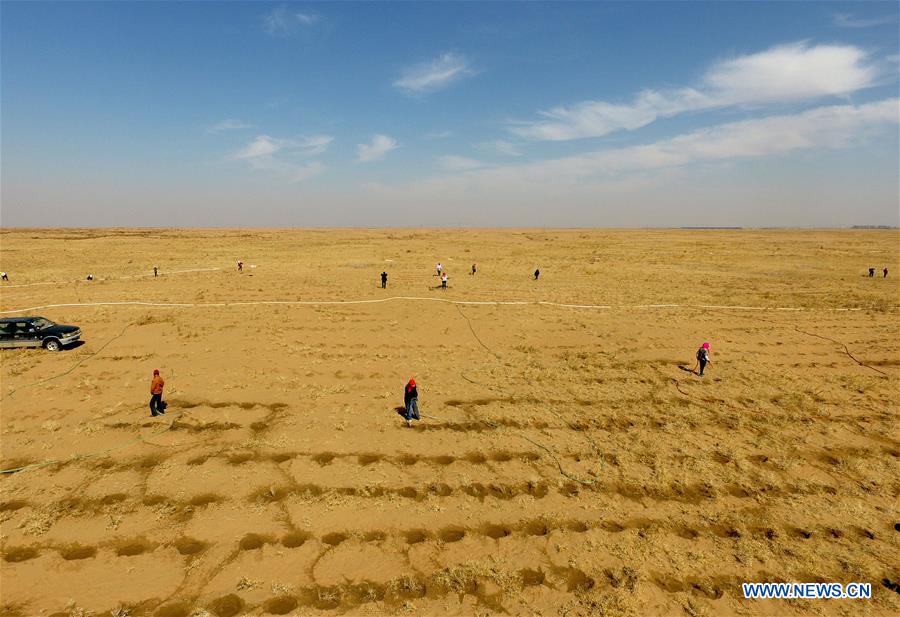 Desert greening work in progress in Bayannur, North China - Chinadaily ...