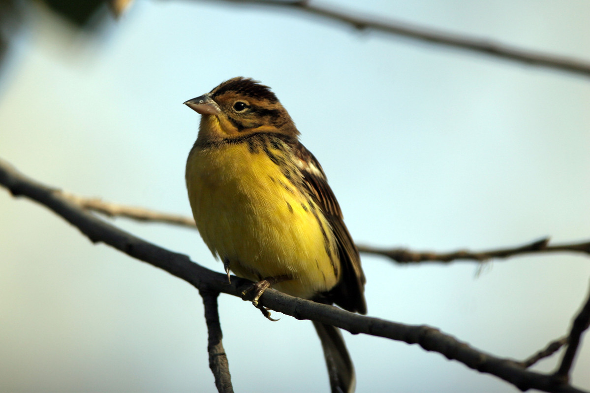 Wetland plan promotes more biodiversity