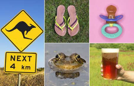 From left: Kangaroo warning sign, frog, flip-flops, glass of beer, dummy