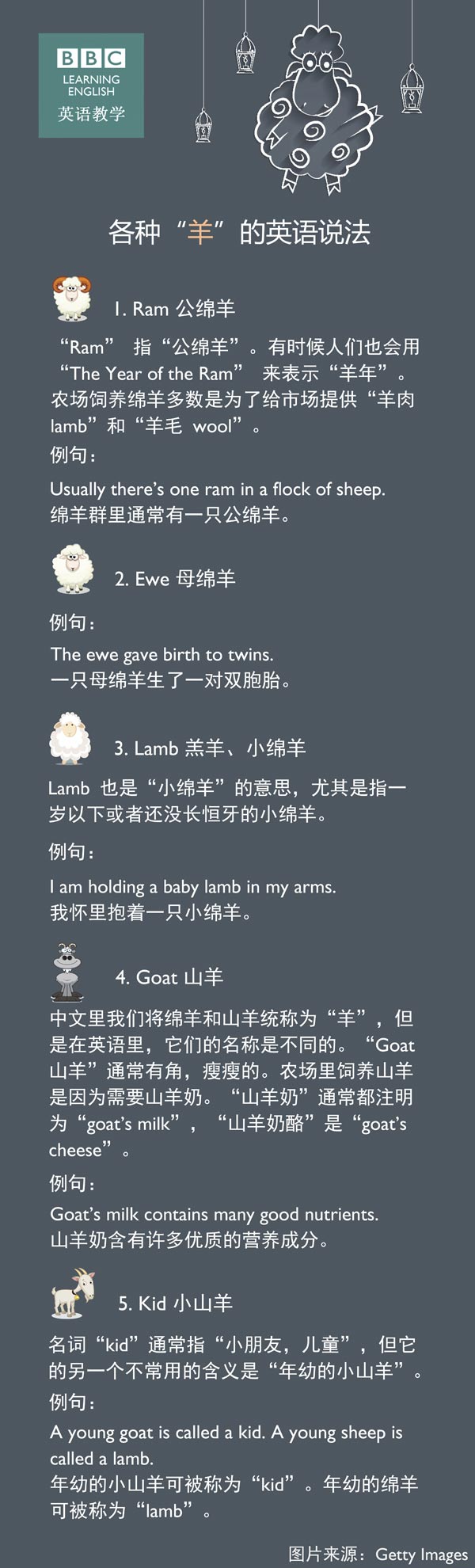 各种 羊 的英语说法 Chinadaily Com Cn