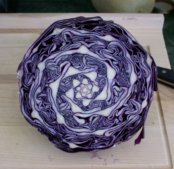 Amazing Natural Geometry In Cabbage