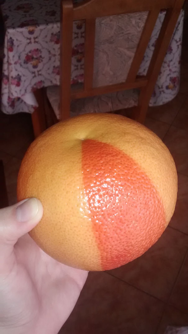This Grapefruit Has A Perfect Stripe Of A Different Color