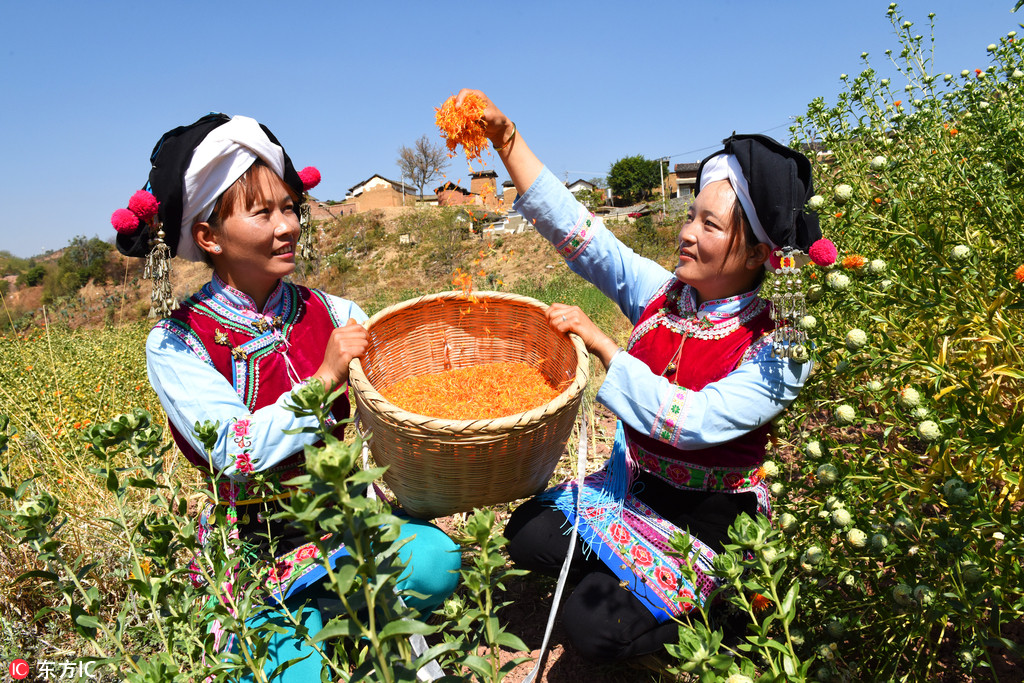 China to mark farmers' harvest festival from this year 