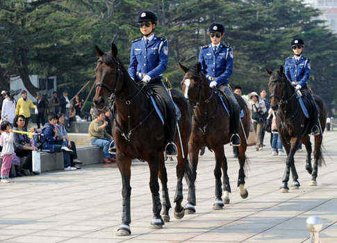 Dalian mounted police should be unsaddled: retired officer