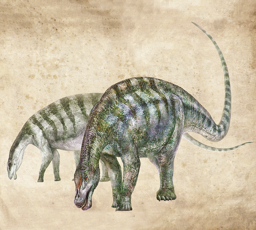 telmatosaurus图片