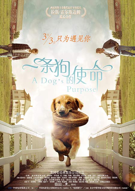 a dog's journey poster