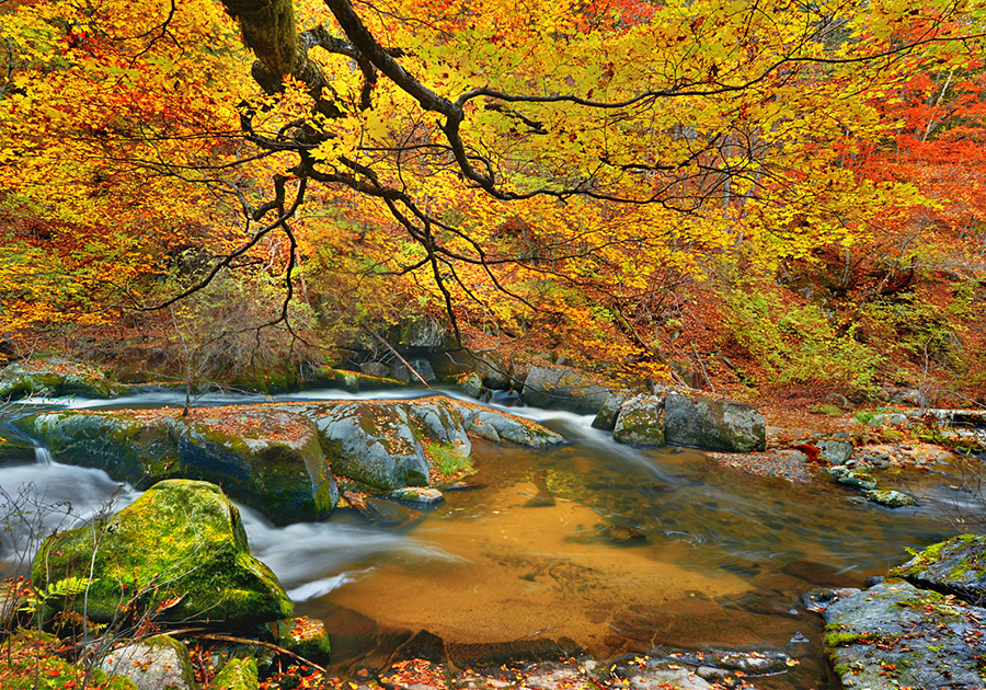 Colorful autumn reveals Jilin's beauty - Chinadaily.com.cn