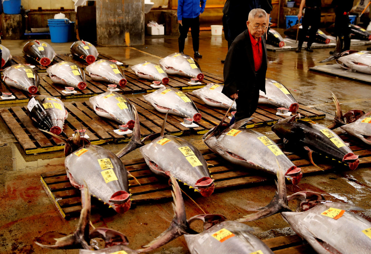 fish market tuna