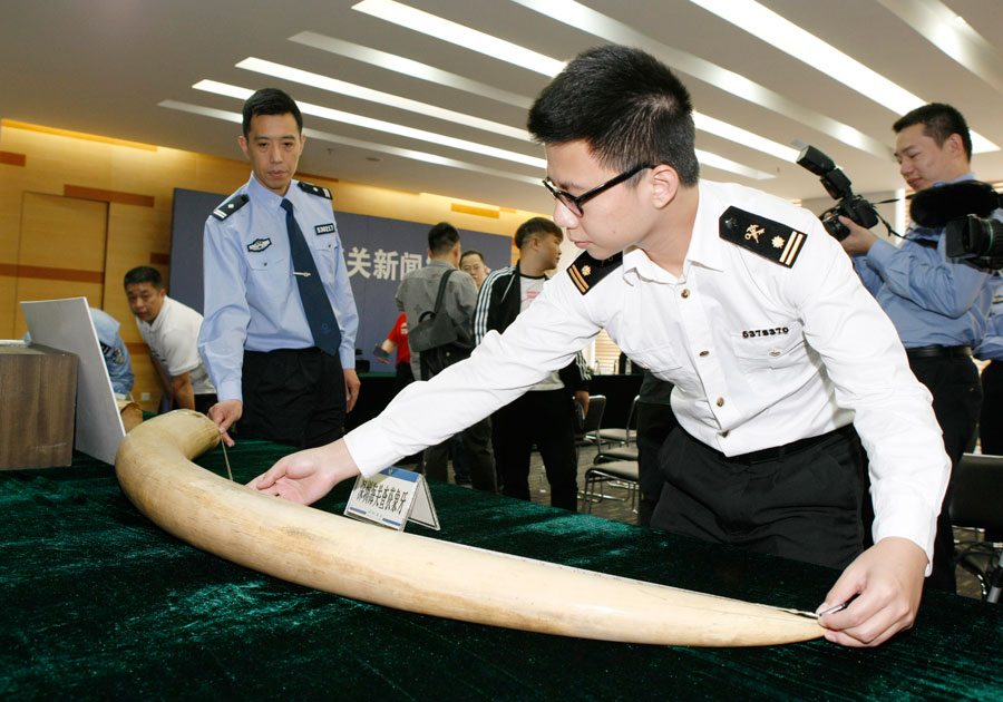 Officers seal off ivory smuggling channel - Chinadaily.com.cn