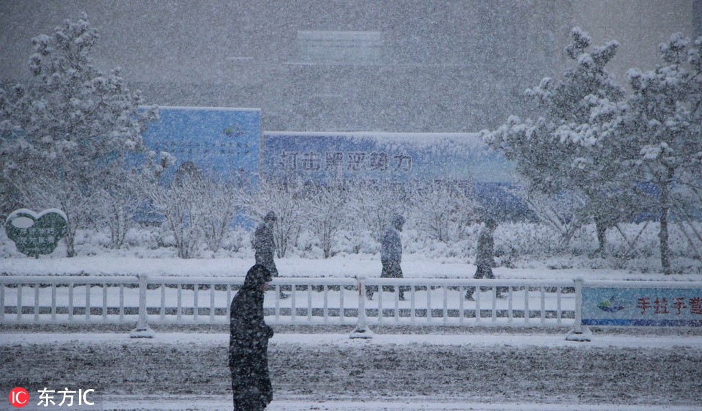 Heaviest Snow in 7 Years Strikes Tokyo