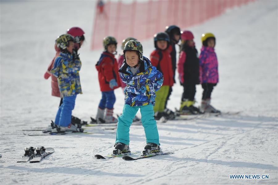 Hebei to encourage more fitness with public sport subsidies