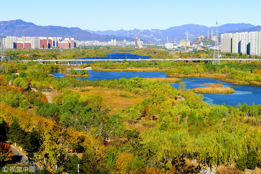 Beijingers plant over 200m trees in 40 years