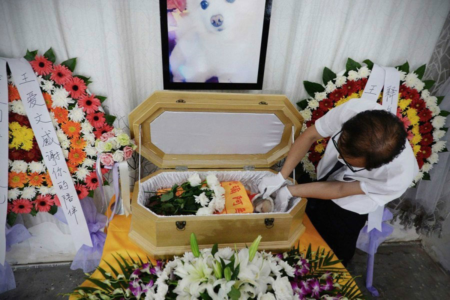 Pet funerals on the rise as owners say farewell - Chinadaily.com.cn