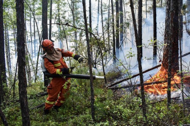 Forest fire in China's Inner Mongolia contained - Chinadaily.com.cn
