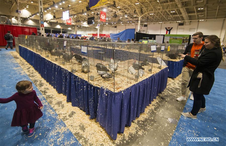 2019 Royal Agricultural Winter Fair held in Toronto, Canada ...