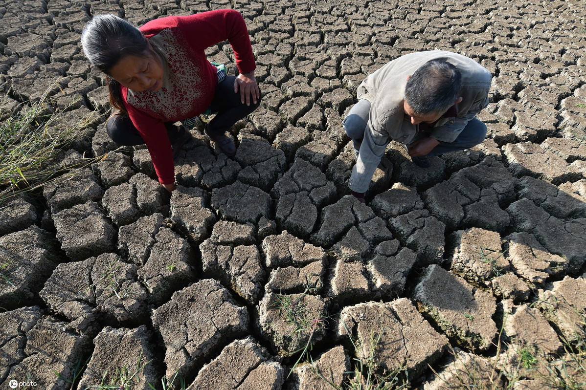 Severe drought dries up reservoirs, affects crops in East China