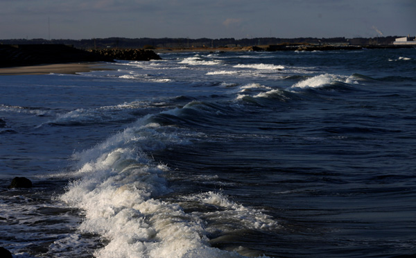 Japan Seeks To Win Over Skeptics In Plan To Serve Fukushima Food