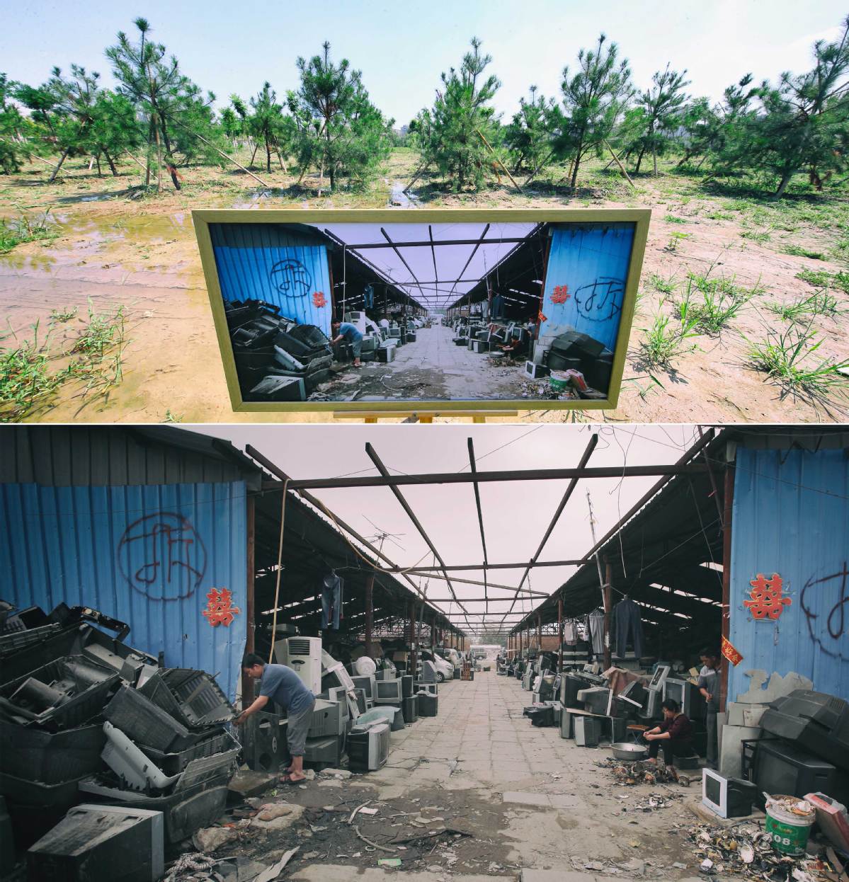 Park emerges from site of former waste dump