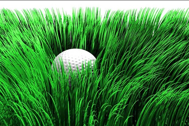 kick into the long grass 将事物踢到长长的草丛中去