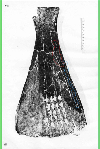 The Chinese History That Is Written in Bone – SAPIENS