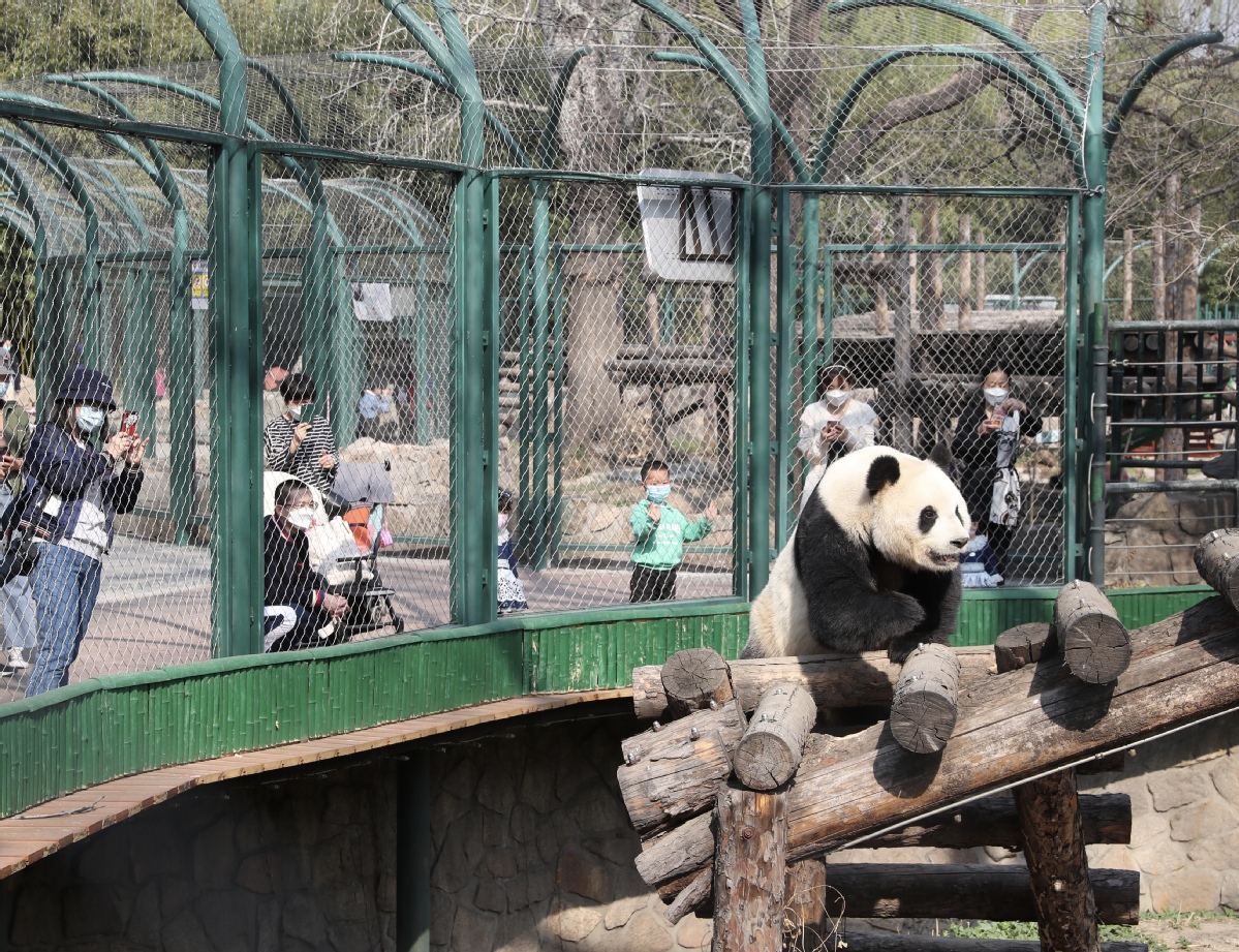 Beijing zoo reopens after 59 days - Chinadaily.com.cn