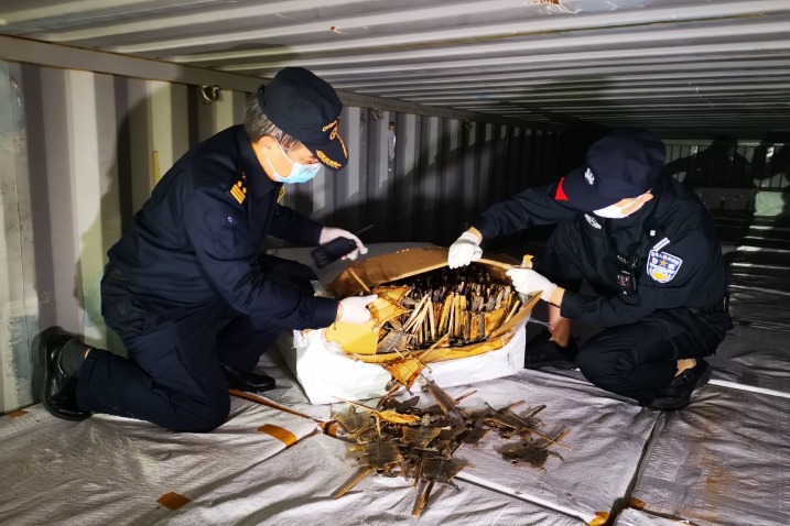 Chinese customs seize 10.7 kg of endangered species products ...