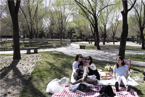 Picnics Soar In Popularity In Summer Chinadaily Com Cn