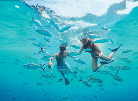 fiji tourists