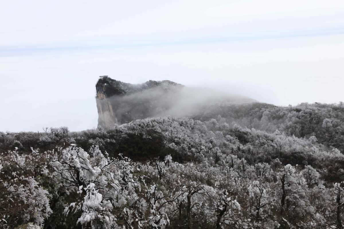 Winter tip toes into national forest park - Chinadaily.com.cn