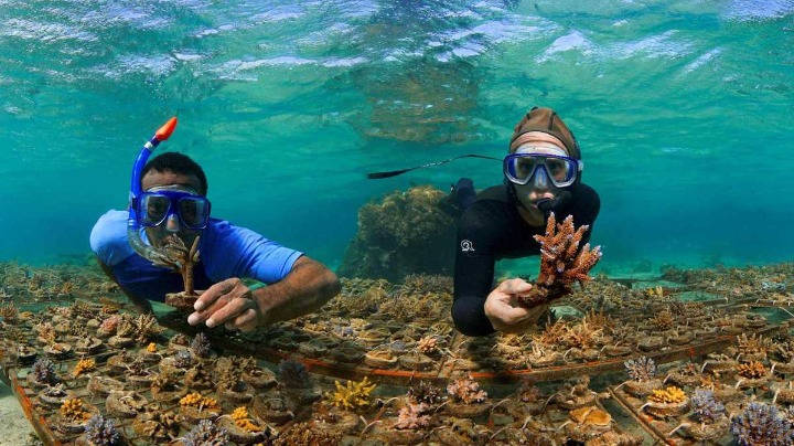 Tourism put back 3 decades, report says - Vimarsana News