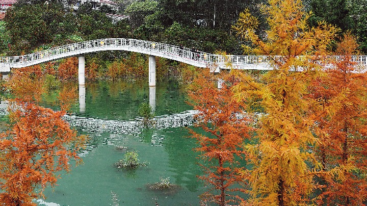 Three Gorges give life to rural area - Vimarsana News