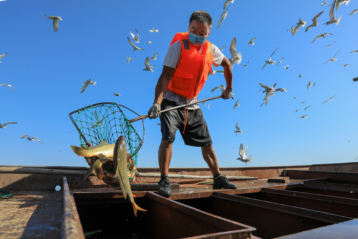 Staff Members Catch Fish At Huangjiahu Fishery In Hunan, 53% OFF