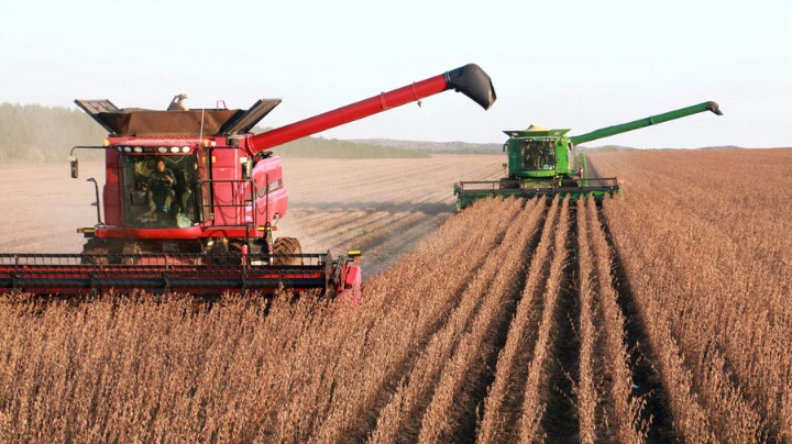 China to fully advance rural vitalization, facilitate modernization of agriculture, rural areas - Vimarsana News