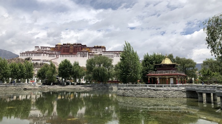 Returnee to Tibet feels at home - Vimarsana News