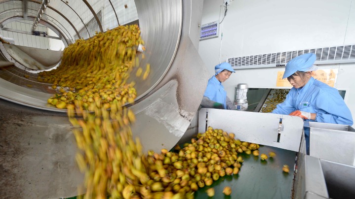 Expanding orchards lift incomes in Guizhou mountain village - Vimarsana News
