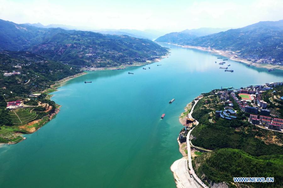 Increasing fish varieties reported in China's Yangtze River