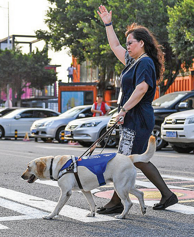 Service dog store for visually impaired