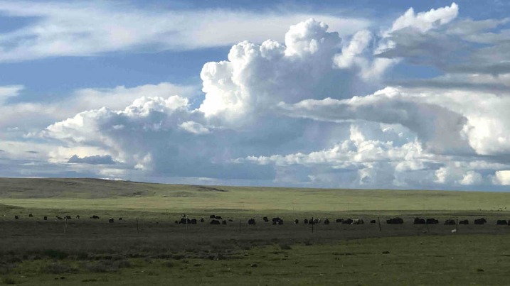 Tibet owes its development to peaceful liberation - Vimarsana News