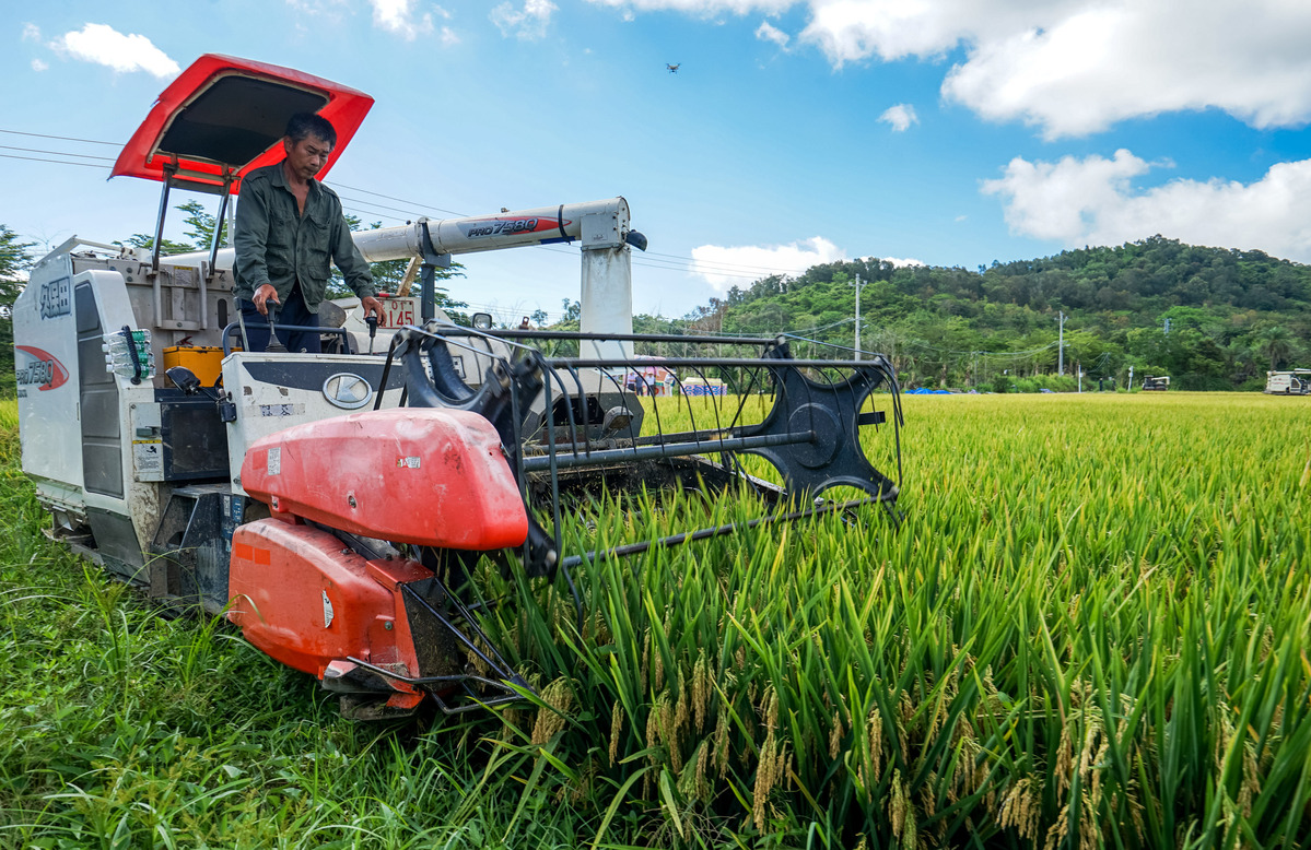 Hainan center to boost seed industry research